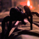 Illustration for article titled A creepy-crawly counterpart to iJaws/i